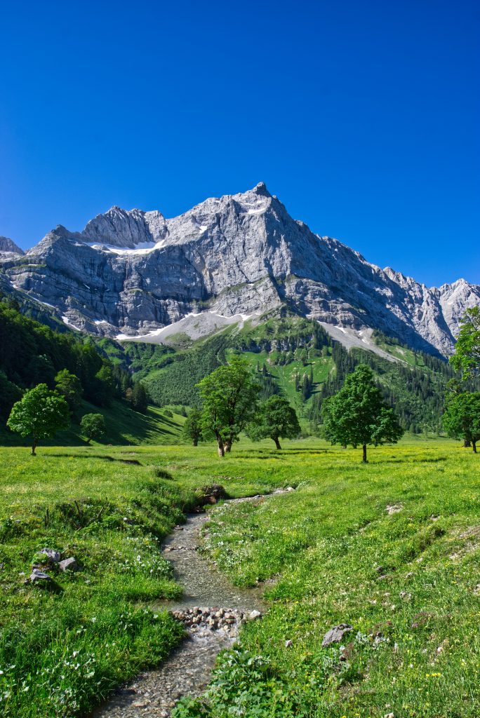 Großer Ahornboden