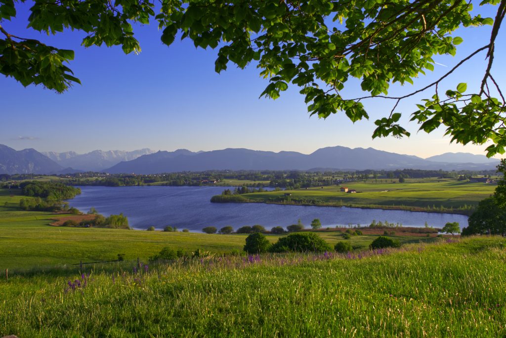 Sommer Riegsee