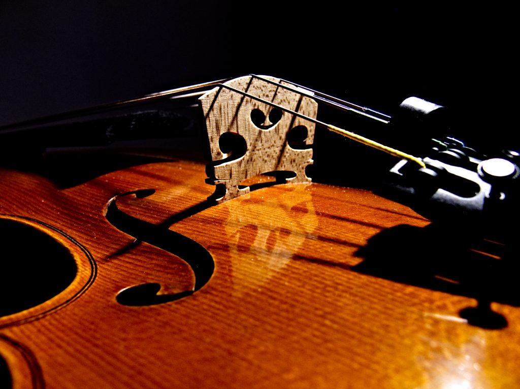 Violine makro