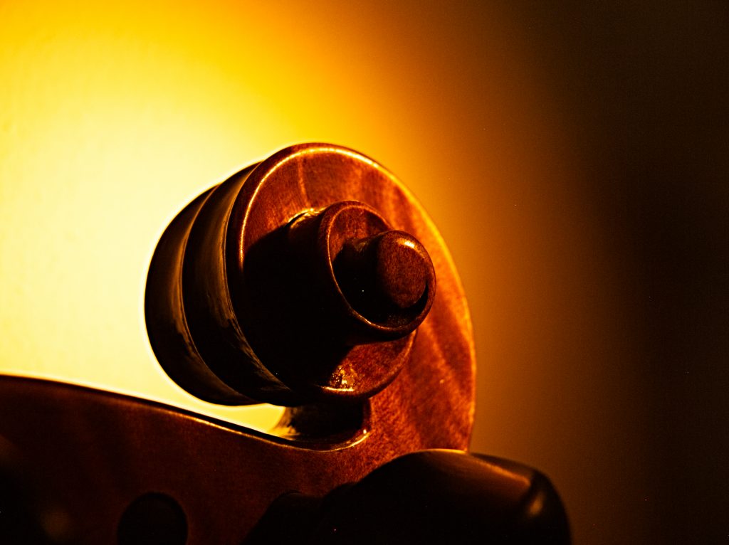 Violine makro