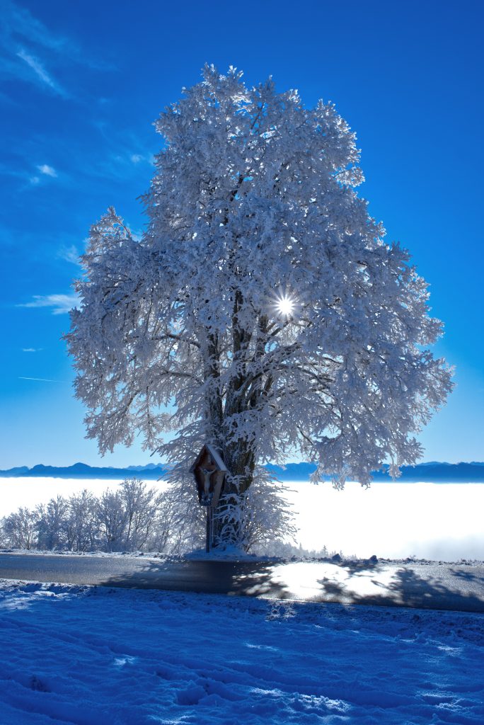 Winter Hohenpeißenberg