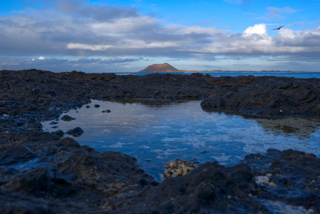 Fuerteventura